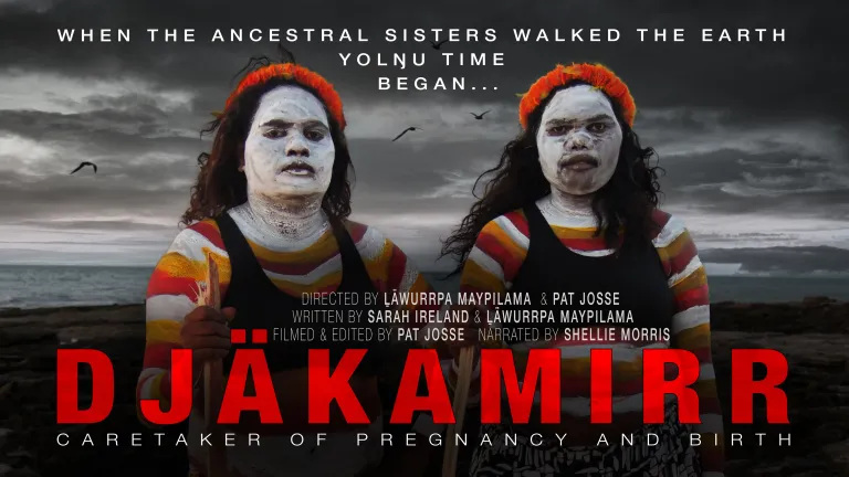 DJAKAMIRR Poster Header