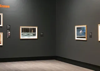 YOU ARE HERE past exhibition