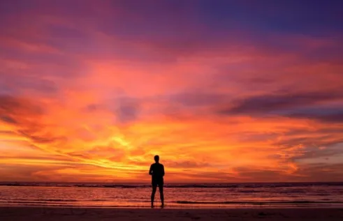 Darwin at sunset