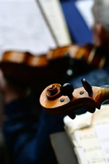 violin